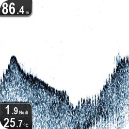 Raymarine Dragonfly tutto da scoprire!