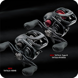 Daiwa Tatula Type-R  100HL