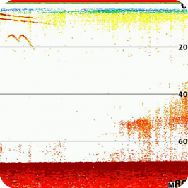 Humminbird Helix 7