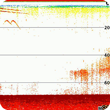 Humminbird Helix 7