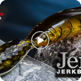 Jerk 95DR – Deep Runner!