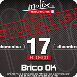 Molix Specialist Brico OK