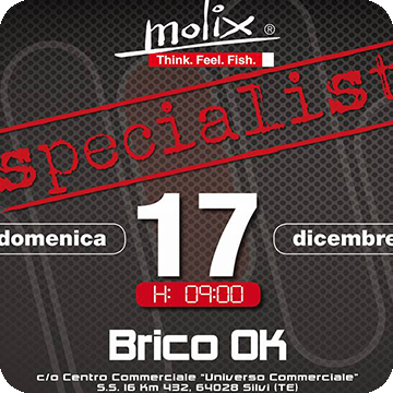 Molix Specialist Brico OK
