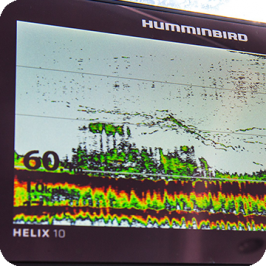 Helix 10″ – Le Ricciole