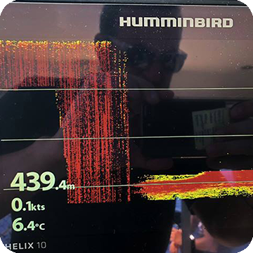 Humminbird – Totani nel mirino!