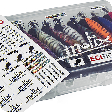 EGI Box EVO