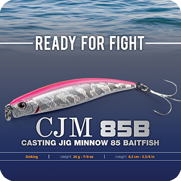 Casting Jig Minnow 85 Baitfish