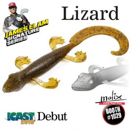 Molix Lizard