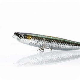 Molix WTD120T Tarpon