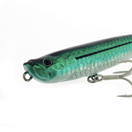 Molix WTD 90 & 120 Tarpon Series new color