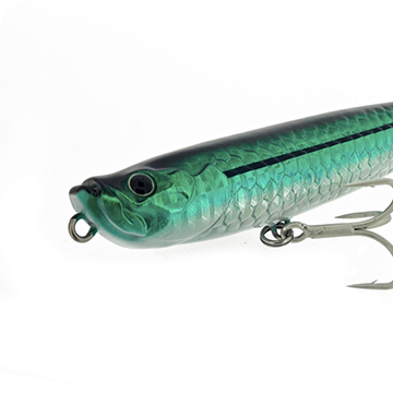 Molix WTD 90 & 120 Tarpon Series new color