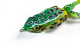 Supernato Frog R _preview