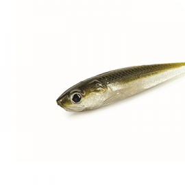 Molix RT Pintail 3.9”